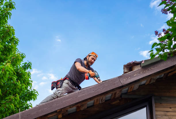 Best Solar Panel Roofing Installation  in Fallbrook, CA